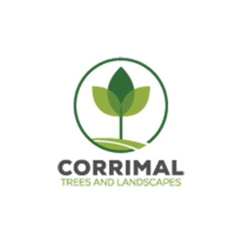 Corrimal Trees & Landscapes